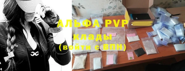индика Балахна