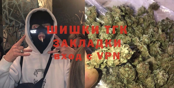 индика Балахна