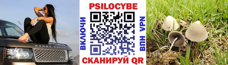 Галлюциногенные грибы Psilocybine cubensis  Макаров 
